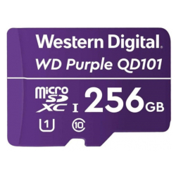 SD 256GB - WDD256G1P0C, Pamov karta
